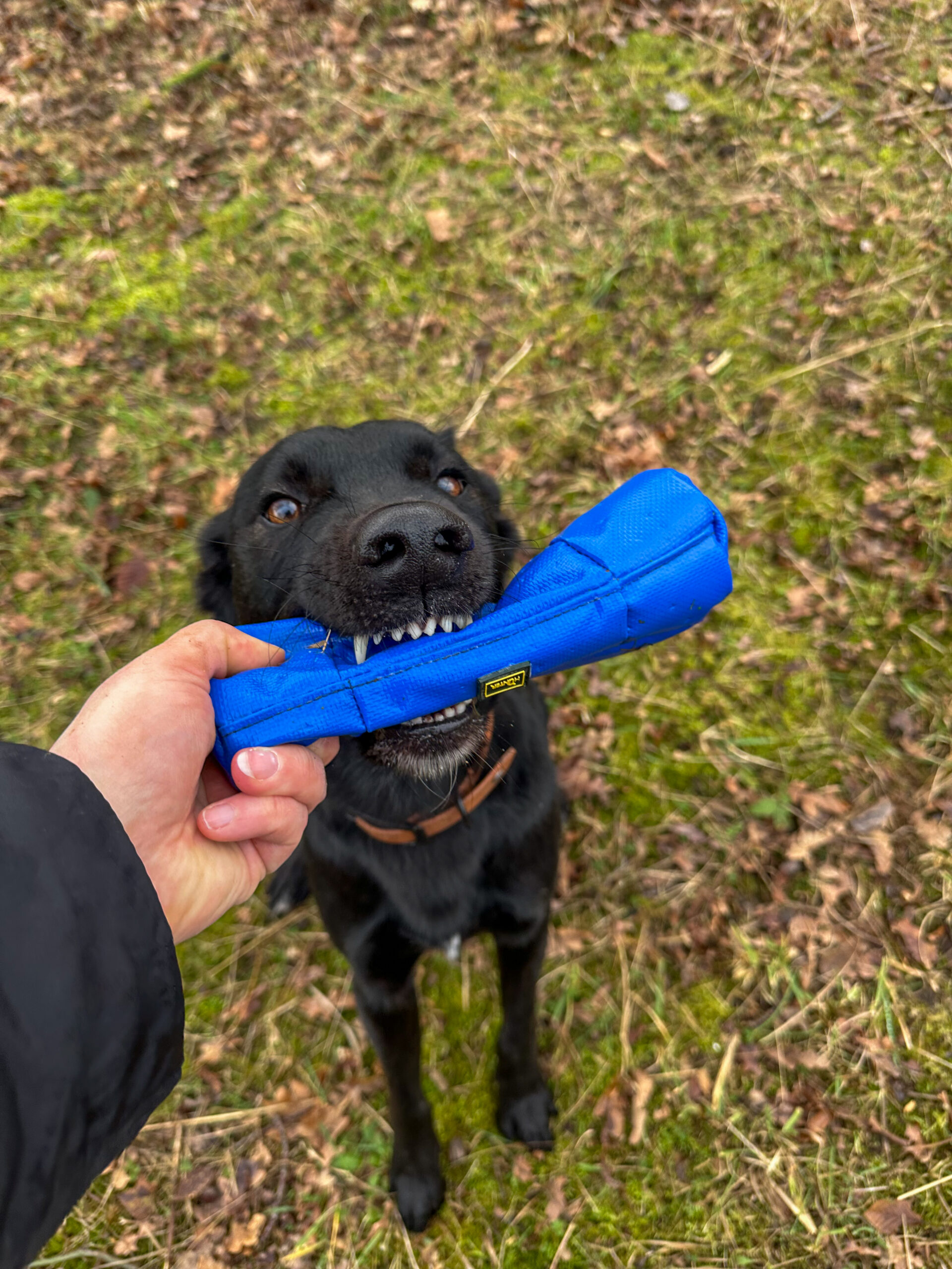 20250108_134910265_iOS