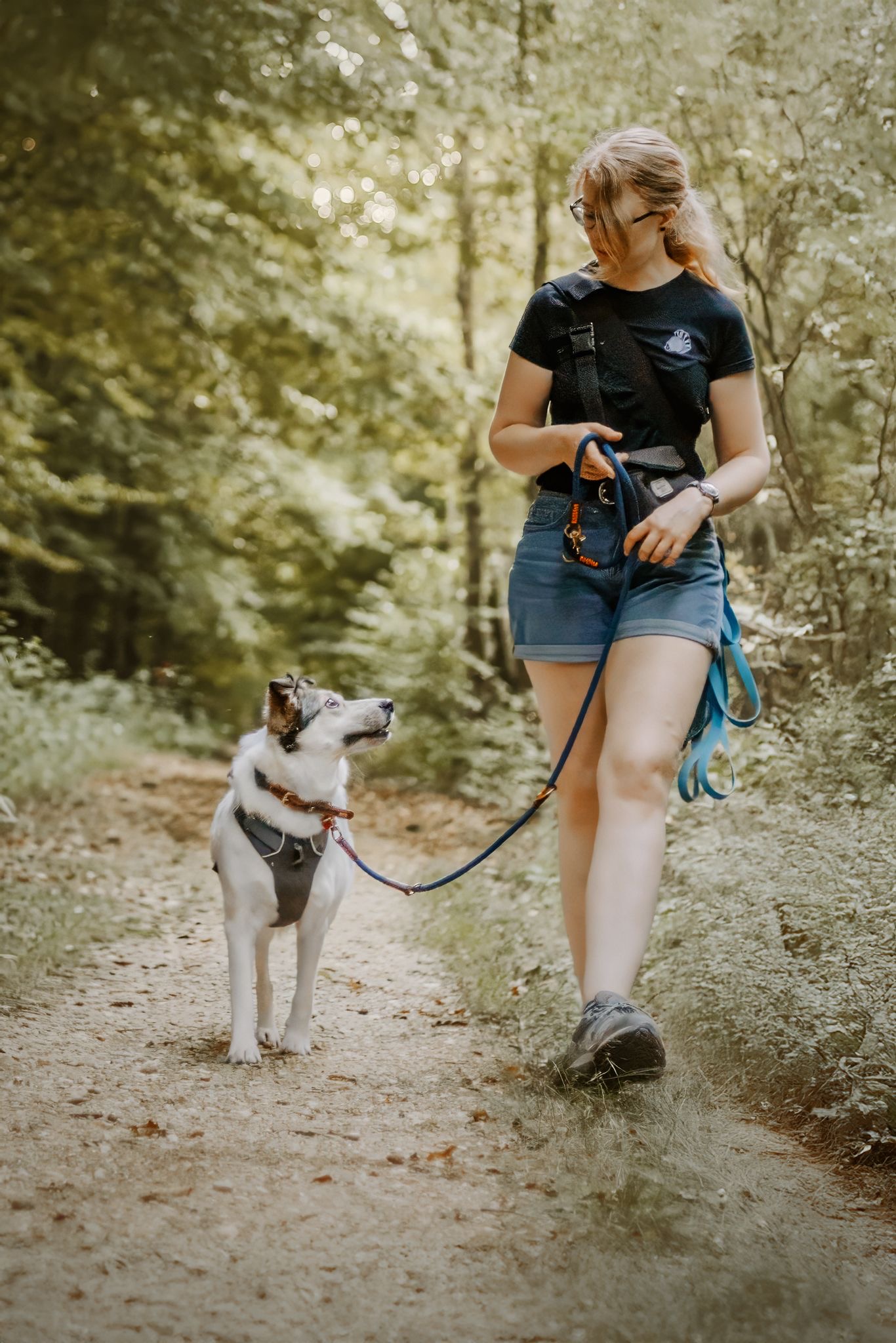 3f226bbb-6bb1-46e8-b604-c41469a272f5