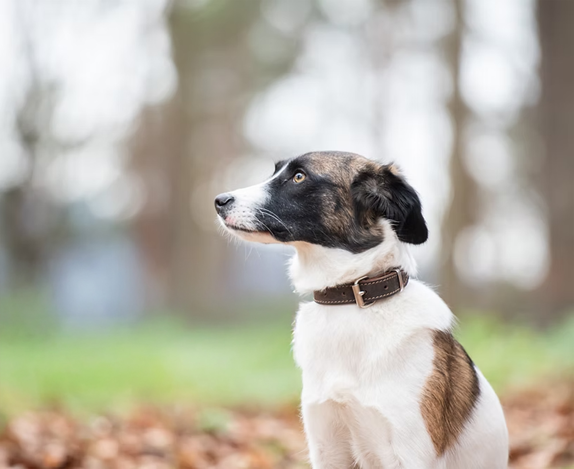 Screenshot 2023-01-05 152101