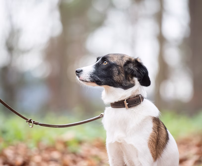 Screenshot 2023-01-05 152101.png